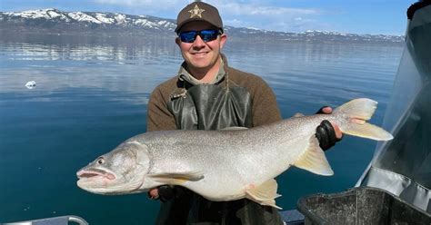 fish wide|Fish Utah .